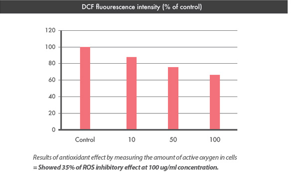 Results of antioxidant effect by measuring the amount of active oxygen in cells=showed 35% of ROS inhibitory effect at 100 ug/ml concentration.